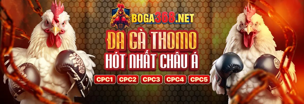 Twin Trang Chủ - Nền tảng cá cược trực tuyến hàng đầu